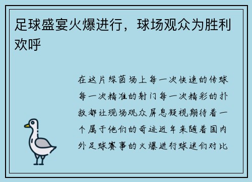 足球盛宴火爆进行，球场观众为胜利欢呼