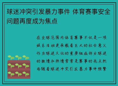 球迷冲突引发暴力事件 体育赛事安全问题再度成为焦点