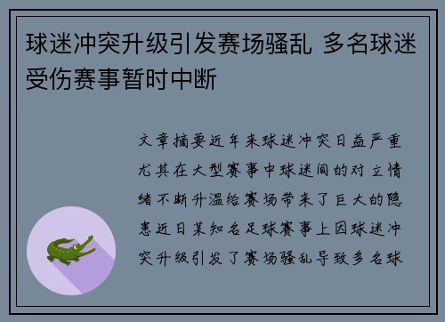 球迷冲突升级引发赛场骚乱 多名球迷受伤赛事暂时中断