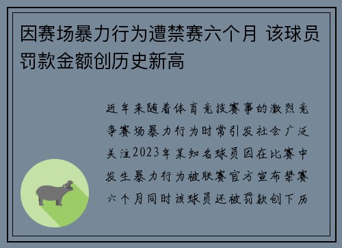 因赛场暴力行为遭禁赛六个月 该球员罚款金额创历史新高