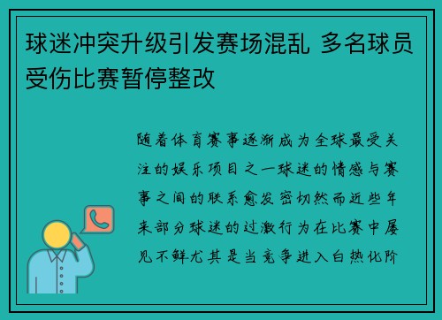 球迷冲突升级引发赛场混乱 多名球员受伤比赛暂停整改